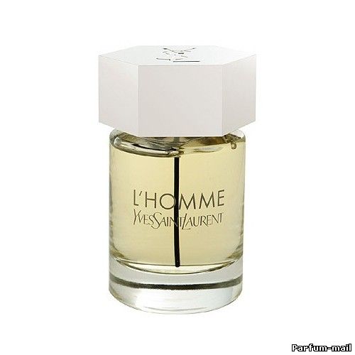YSL Yves Saint Laurent L Homme